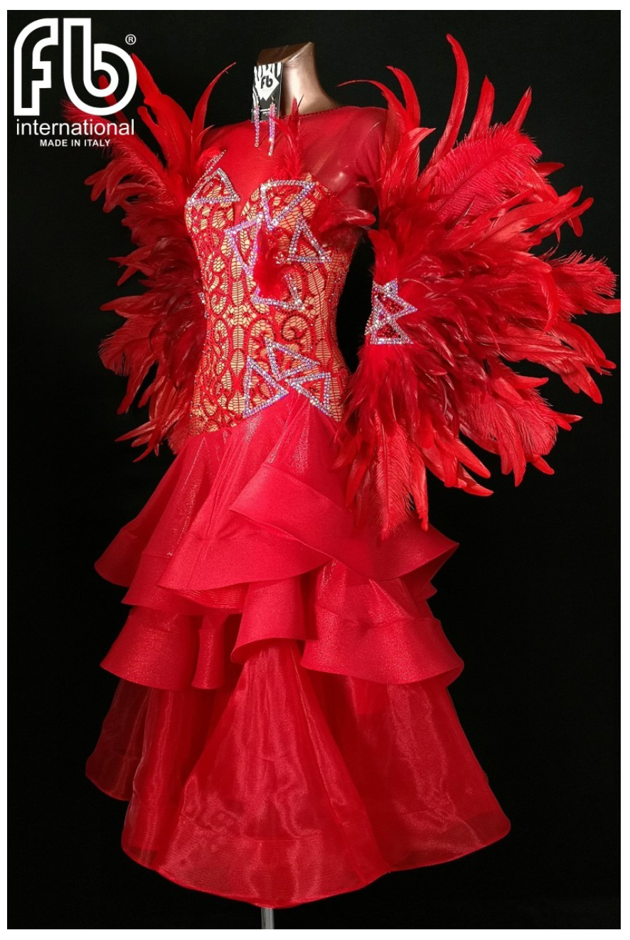 Women's International Standard, Ballroom Dress Made to Order Brand New Color Red