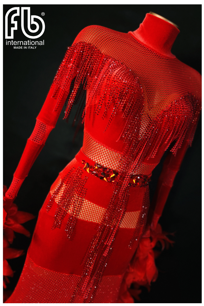 
                  
                    Women's International Standard, Ballroom Dress Made to Order Brand New Color Red
                  
                