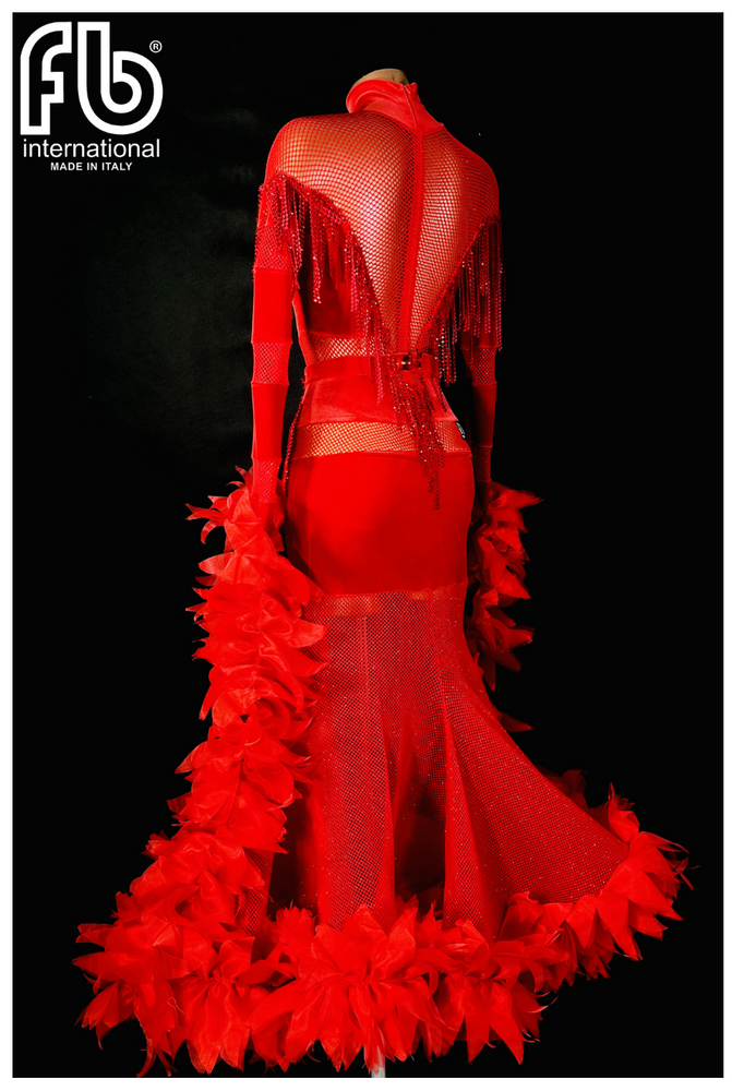 
                  
                    Women's International Standard, Ballroom Dress Made to Order Brand New Color Red
                  
                
