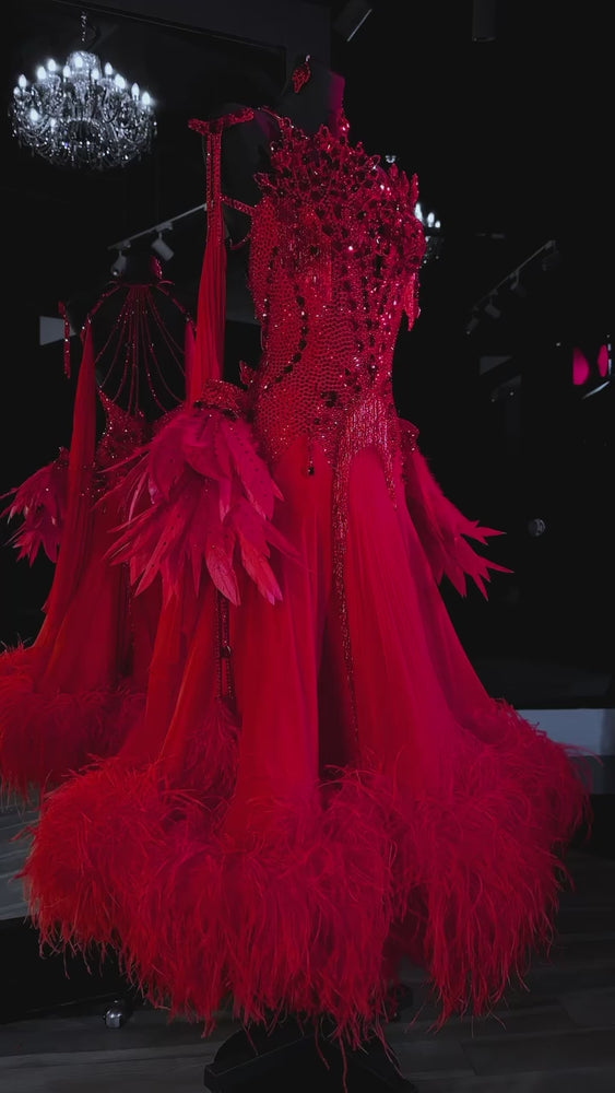 Custom-Made Women's Ballroom & Smooth Dance Gown
